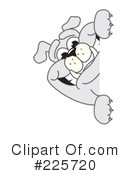 Bulldog Mascot Clipart #225720 by Mascot Junction