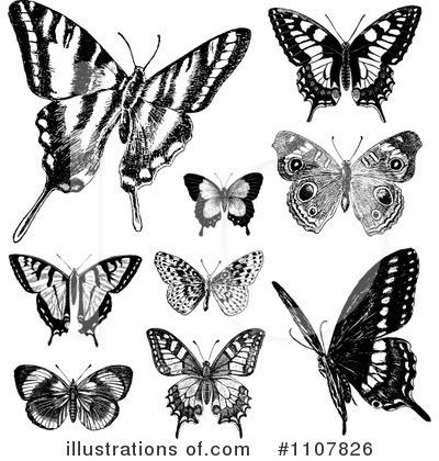 Royalty-Free (RF) Butterflies Clipart Illustration by BestVector - Stock Sample #1107826