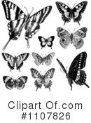 Butterflies Clipart #1107826 by BestVector