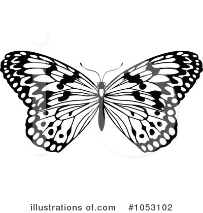 Royalty-Free (RF) Butterfly Clipart Illustration by AtStockIllustration - Stock Sample #1053102