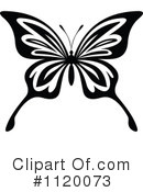 Butterfly Clipart #1120073 by Vector Tradition SM