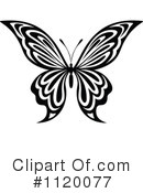 Butterfly Clipart #1120077 by Vector Tradition SM