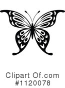 Butterfly Clipart #1120078 by Vector Tradition SM