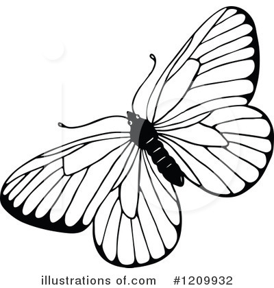 Royalty-Free (RF) Butterfly Clipart Illustration by Prawny - Stock Sample #1209932