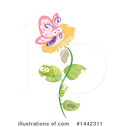 Butterflies Clipart #1442311 by BNP Design Studio