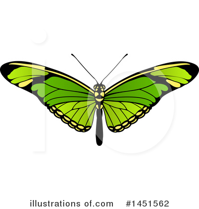 Butterfly Clipart #1451562 by AtStockIllustration