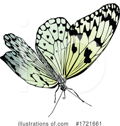 Royalty-Free (RF) Butterfly Clipart Illustration by dero - Stock Sample #1721661