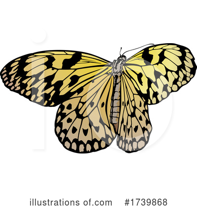 Royalty-Free (RF) Butterfly Clipart Illustration by dero - Stock Sample #1739868