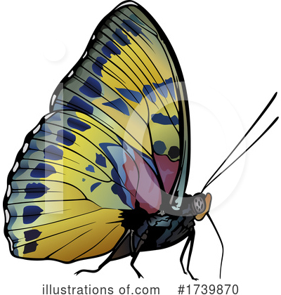 Royalty-Free (RF) Butterfly Clipart Illustration by dero - Stock Sample #1739870