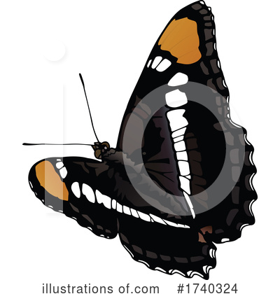 Royalty-Free (RF) Butterfly Clipart Illustration by dero - Stock Sample #1740324