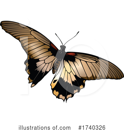 Royalty-Free (RF) Butterfly Clipart Illustration by dero - Stock Sample #1740326