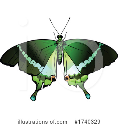 Royalty-Free (RF) Butterfly Clipart Illustration by dero - Stock Sample #1740329