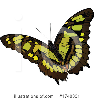 Royalty-Free (RF) Butterfly Clipart Illustration by dero - Stock Sample #1740331
