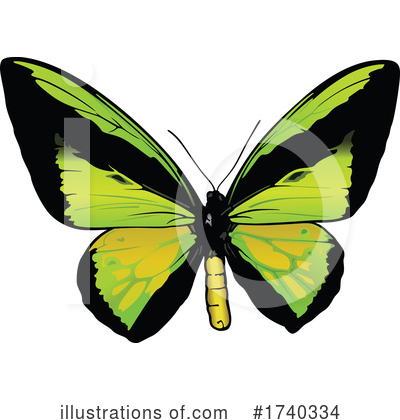 Royalty-Free (RF) Butterfly Clipart Illustration by dero - Stock Sample #1740334
