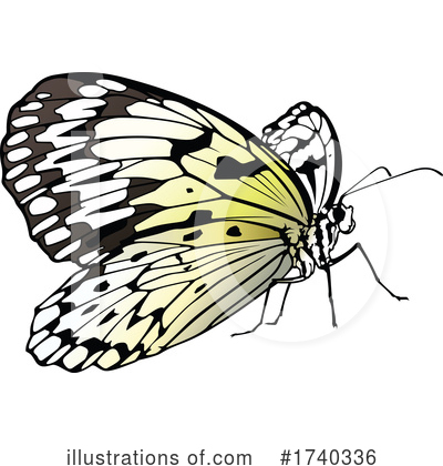 Royalty-Free (RF) Butterfly Clipart Illustration by dero - Stock Sample #1740336