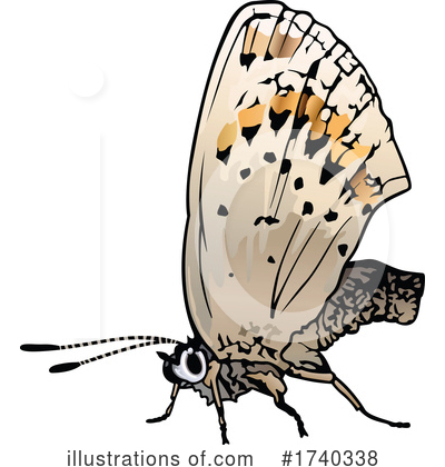 Royalty-Free (RF) Butterfly Clipart Illustration by dero - Stock Sample #1740338