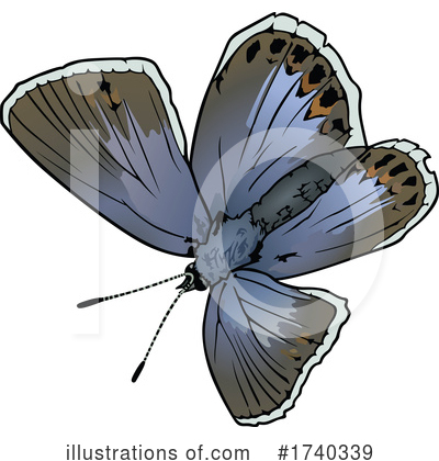 Royalty-Free (RF) Butterfly Clipart Illustration by dero - Stock Sample #1740339