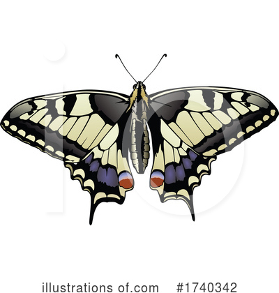 Royalty-Free (RF) Butterfly Clipart Illustration by dero - Stock Sample #1740342