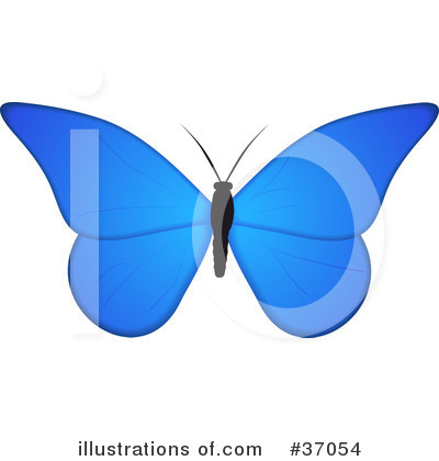 Blue Butterfly Clipart #37054 by elaineitalia