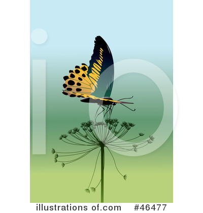 Royalty-Free (RF) Butterfly Clipart Illustration by Eugene - Stock Sample #46477