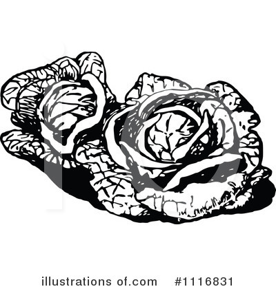 Royalty-Free (RF) Cabbage Clipart Illustration by Prawny Vintage - Stock Sample #1116831