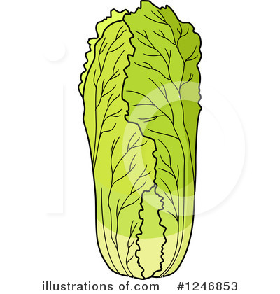 Royalty-Free (RF) Cabbage Clipart Illustration by Vector Tradition SM - Stock Sample #1246853
