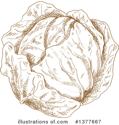 Royalty-Free (RF) Cabbage Clipart Illustration by Vector Tradition SM - Stock Sample #1377667