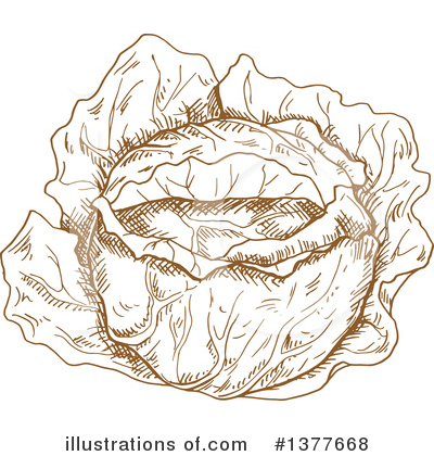 Royalty-Free (RF) Cabbage Clipart Illustration by Vector Tradition SM - Stock Sample #1377668