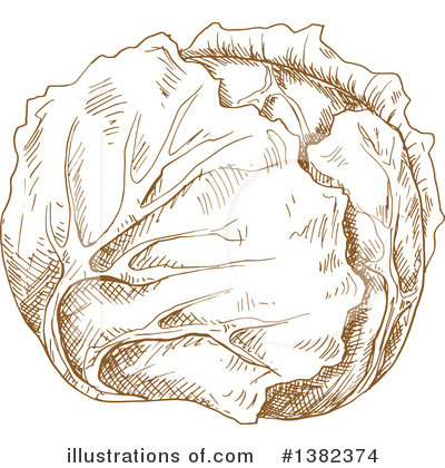 Royalty-Free (RF) Cabbage Clipart Illustration by Vector Tradition SM - Stock Sample #1382374