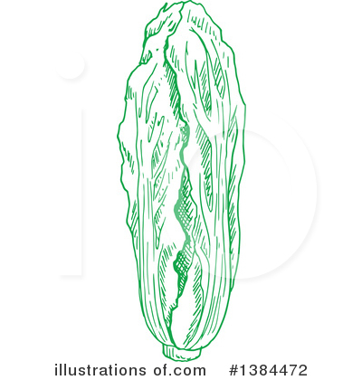 Royalty-Free (RF) Cabbage Clipart Illustration by Vector Tradition SM - Stock Sample #1384472