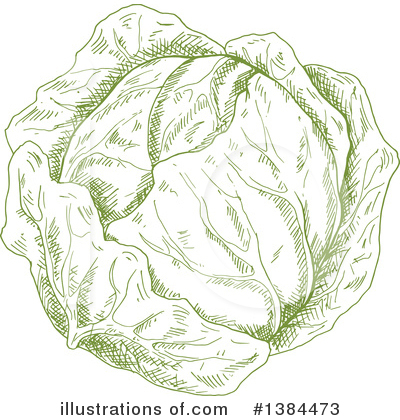 Royalty-Free (RF) Cabbage Clipart Illustration by Vector Tradition SM - Stock Sample #1384473