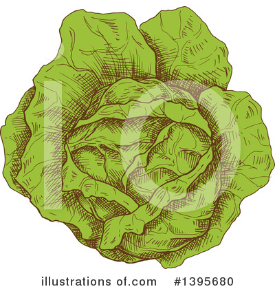 Royalty-Free (RF) Cabbage Clipart Illustration by Vector Tradition SM - Stock Sample #1395680