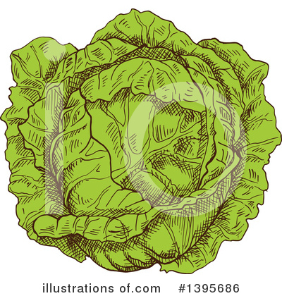 Royalty-Free (RF) Cabbage Clipart Illustration by Vector Tradition SM - Stock Sample #1395686