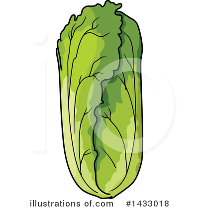 Cabbage Clipart #1433018 by Vector Tradition SM