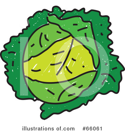 Royalty-Free (RF) Cabbage Clipart Illustration by Prawny - Stock Sample #66061