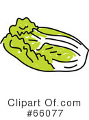 Cabbage Clipart #66077 by Prawny