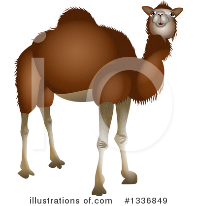 Royalty-Free (RF) Camel Clipart Illustration by Prawny - Stock Sample #1336849