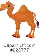 Camel Clipart #228777 by Pushkin