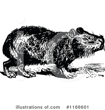 Royalty-Free (RF) Capybara Clipart Illustration by Prawny Vintage - Stock Sample #1166601