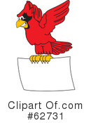 Cardinal Character Clipart #62731 by Mascot Junction