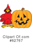 Cardinal Character Clipart #62767 by Mascot Junction