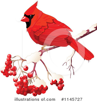 Cardinal Clipart #1145727 by Pushkin