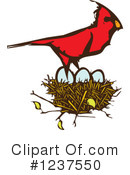 Cardinal Clipart #1237550 by xunantunich