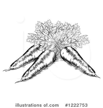 Royalty-Free (RF) Carrot Clipart Illustration by AtStockIllustration - Stock Sample #1222753