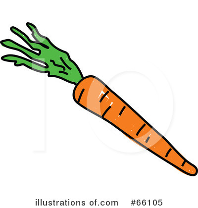 Carrot Clipart #66105 by Prawny