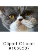 Cat Clipart #1060587 by Kenny G Adams