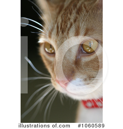 Royalty-Free (RF) Cat Clipart Illustration by Kenny G Adams - Stock Sample #1060589