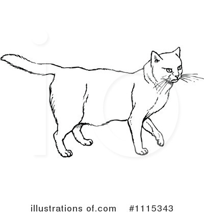 Royalty-Free (RF) Cat Clipart Illustration by Prawny Vintage - Stock Sample #1115343