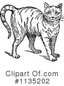 Cat Clipart #1135202 by Prawny Vintage