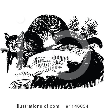 Wildcat Clipart #1146034 by Prawny Vintage